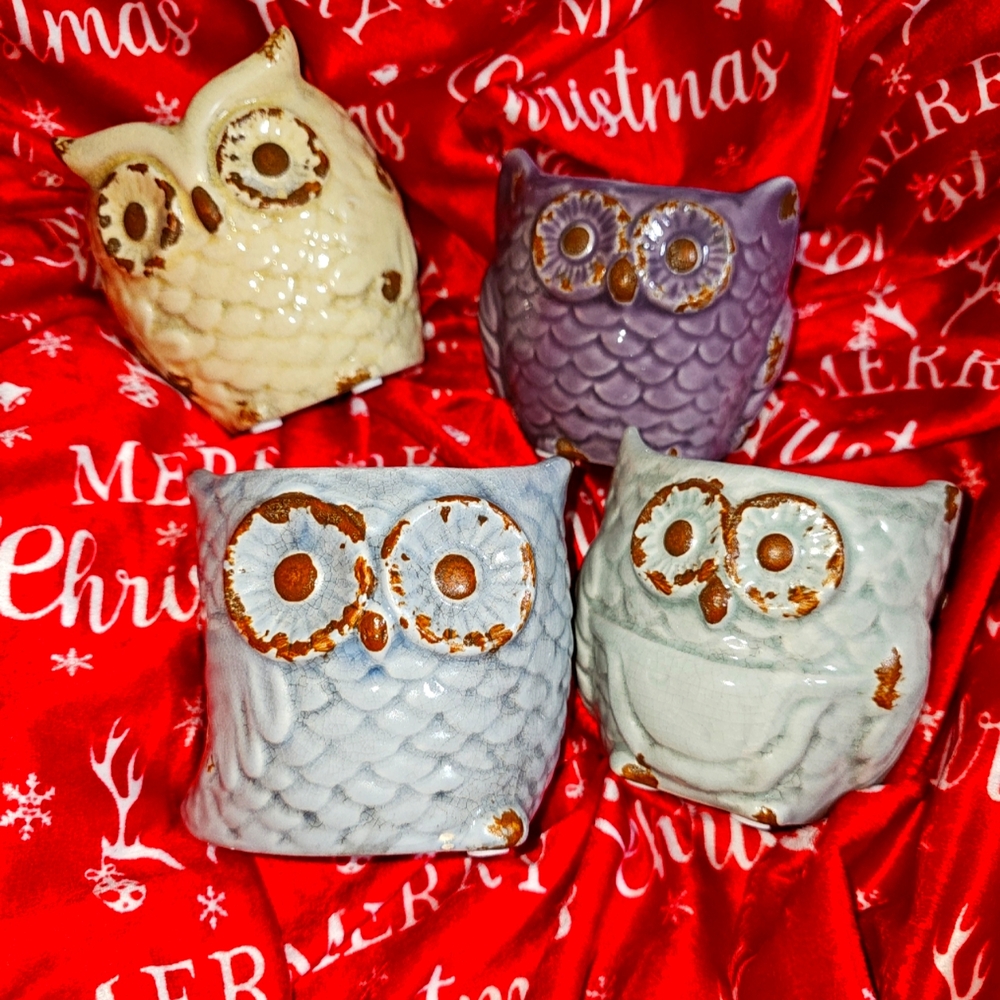 4 extremely cute owl planters. 1 blue, 1 light green, 1 purple, and 1 ivory.